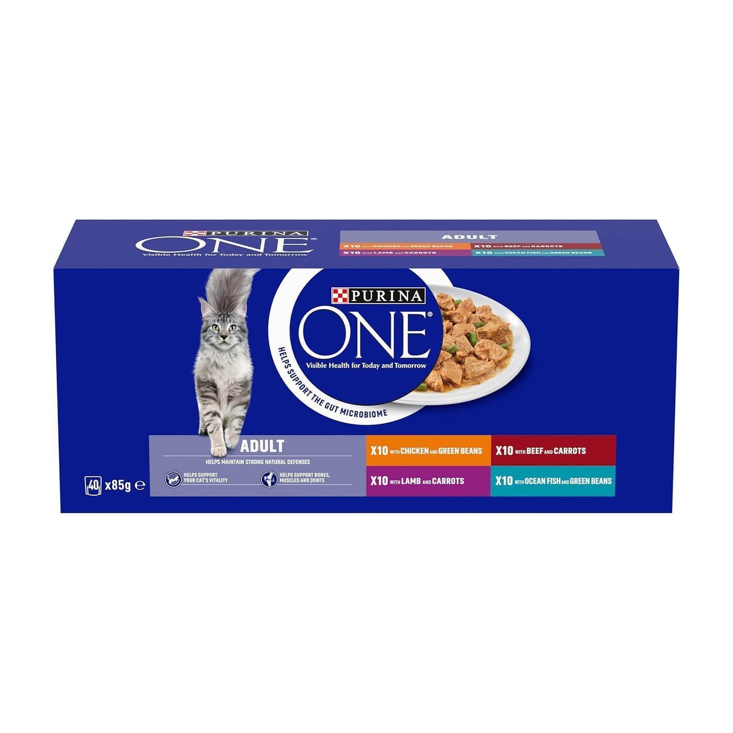 PURINA ONE Mini Fillets Mixed Selection in Gravy Wet Cat Food 40x85g