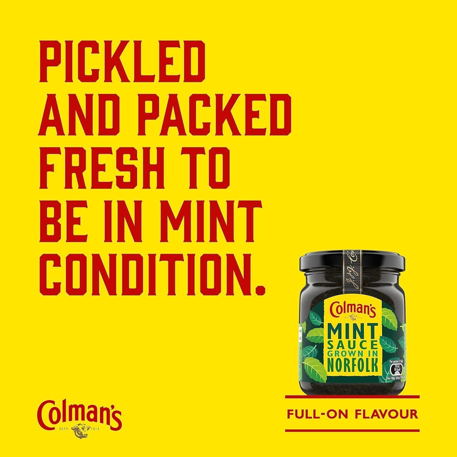 Colman's Mint Sauce made with Norfolk grown mint the perfect condiment for roast lamb 165 g - Image 2