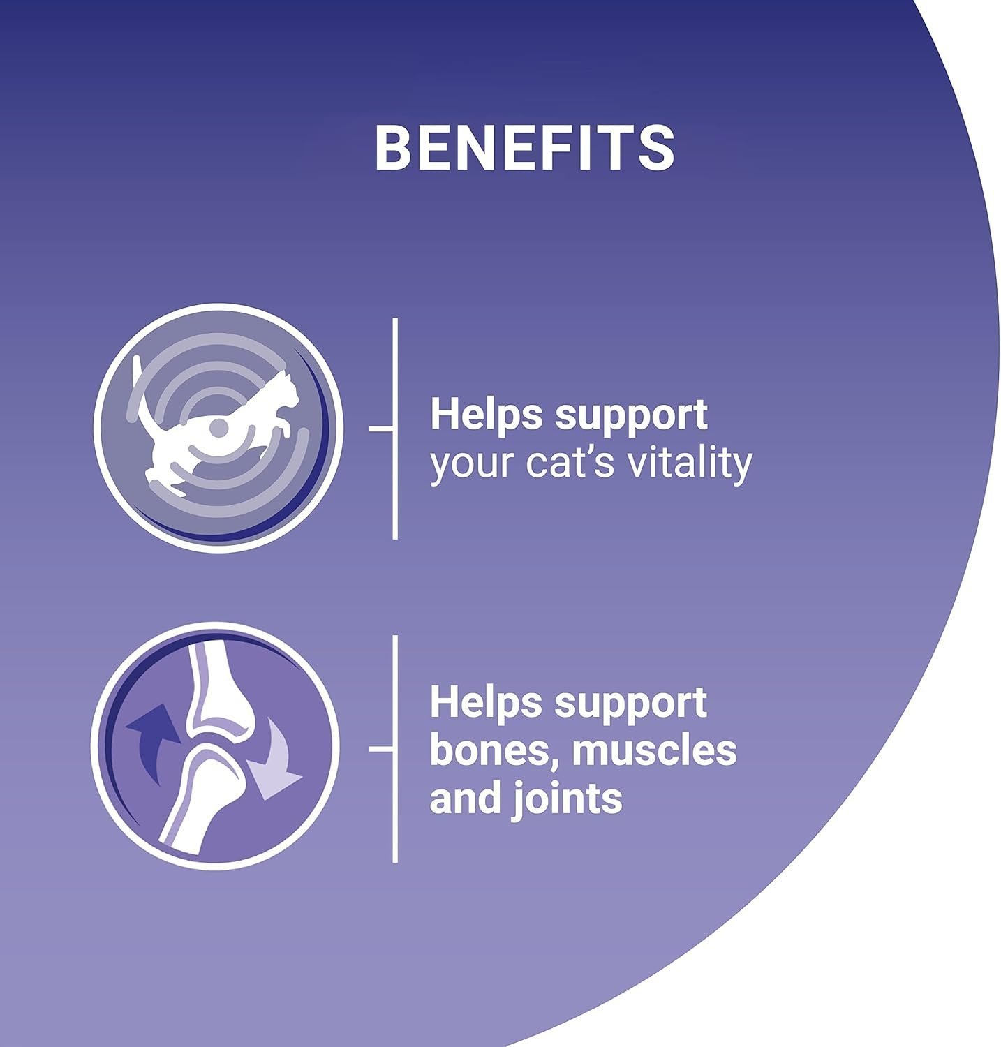 PURINA ONE Mini Fillets Mixed Selection in Gravy Wet Cat Food 40x85g - Image 3