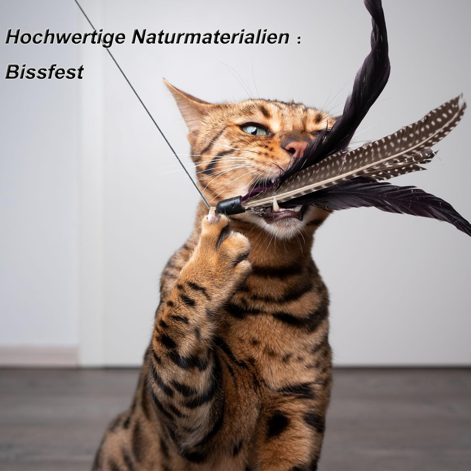 MAIYADUO Cat Teasers Cat Feather Wand Cat Toy Interactive Toy Feather Wand with Bell 5x - Image 3